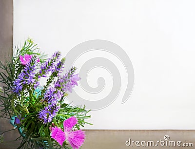 Frame of wild flowers, bell, carnation, lavender, burr, on a white canvas background. Top view, close-up. Stock Photo