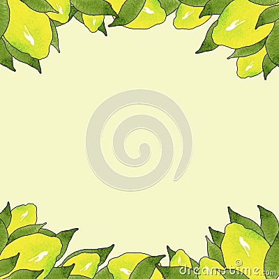 Frame of yellow lemon fruits with green leaves isolated on yellow background in beautiful style.Handmade illustration. Cartoon Illustration