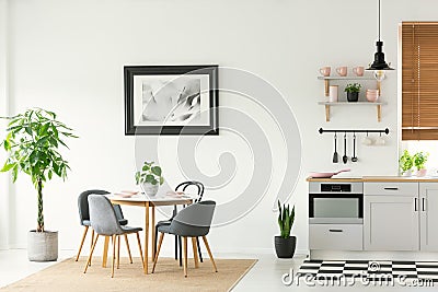 Framed photo on a white wall in an open space dining room and kitchen interior with modern, wooden furniture and plants Stock Photo