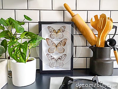 Frames butterflies taxidermy display in a black and white subway tiled kitchen with numerous plants and cooking utensils Stock Photo