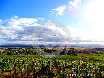 France, Great East, Alsace, Haut Rhin, village of Pfaffenheim surrounded by vineyards Stock Photo