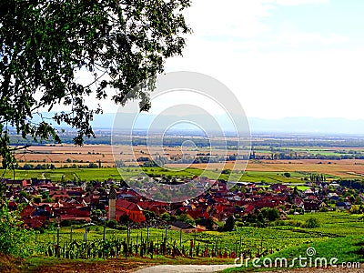 France, Great East, Alsace, Haut Rhin, village of Pfaffenheim surrounded by vineyards Stock Photo