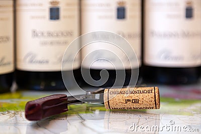 France Lyon 2019-06-20 line wine bottles closeup burgundy top wine, Pommard, Chassagne-Montrachet, professional wine tasting of Editorial Stock Photo