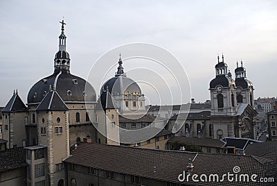 France; Lyon; rooth Stock Photo