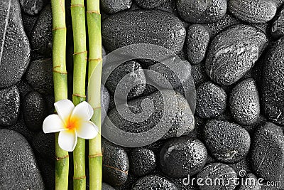 Frangipani and bamboo Stock Photo