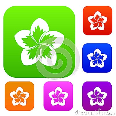 Frangipani flower set collection Vector Illustration