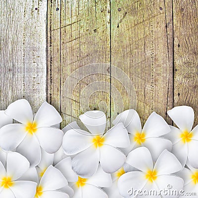 Frangipani flower on wood floor Stock Photo