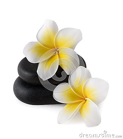 Frangipani on zen pebbles Stock Photo