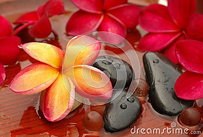 Frangipanis and therapy stones Stock Photo