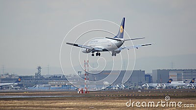 FRANKFURT, GERMANY - FEB 28th, 2015: Lufthansa Boeing 737-530, MSN 24824, Registration D-ABIL landing on a runway at Editorial Stock Photo