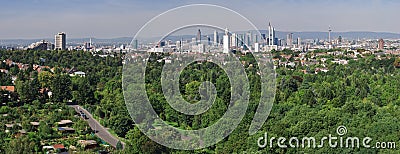 Frankfurt Skyline and Forest Stock Photo