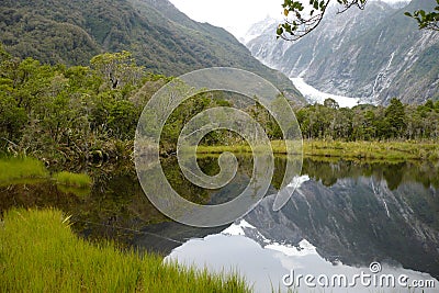 Franz Josef Glacier, New Zealand Stock Photo