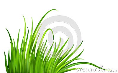 Frash Spring green grass background. Vector illustration Vector Illustration