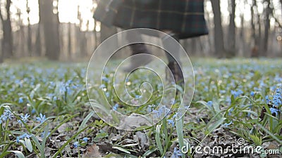 Frau macht Blumenstrauß von den Schneeglöckchen Mittlerer Abstand stock footage Frau macht Blumenstrauß von den Schneeglöckchen Mittlerer Abstand stock footage