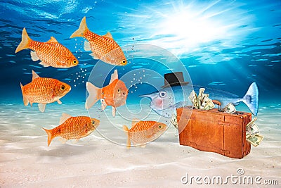 Fraud fish concept Stock Photo