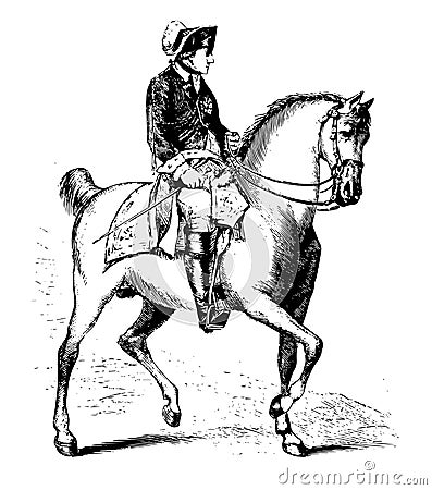 Frederick II of Prussia on Horseback, vintage illustration Vector Illustration