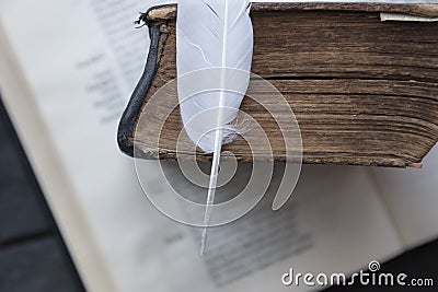 Free courses or school idea. Book and feather. Stock Photo