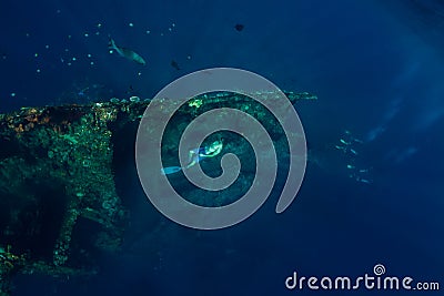 Free diver in the depth swim at shipwreck Stock Photo