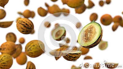 Free falling melons on white background. realistic 3d illustration Cartoon Illustration