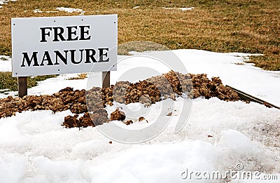 Free Manure Stock Photo