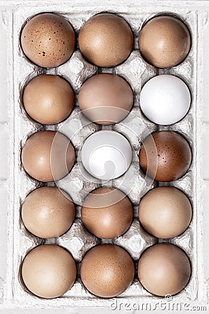 15 Free Range Eggs Stock Photo
