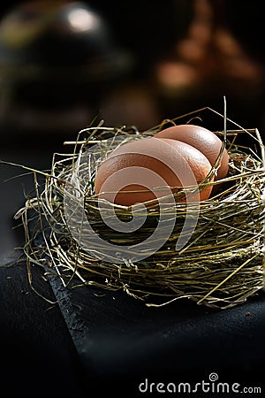 Free range eggs Stock Photo