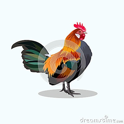 Free Rooster Illustration vector Stock Photo