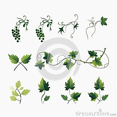 Free Vector Vine Vines Set With Tightly Cropped Compositions Cartoon Illustration