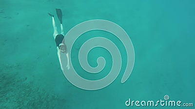 Freediver on Corals in Red Sea, Beautiful Young Woman Swimming ...