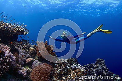 Freediver Stock Photo