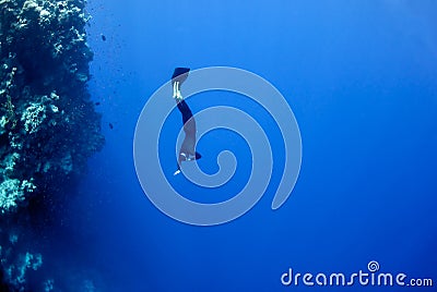 Freediver moves underwater along coral reef Stock Photo