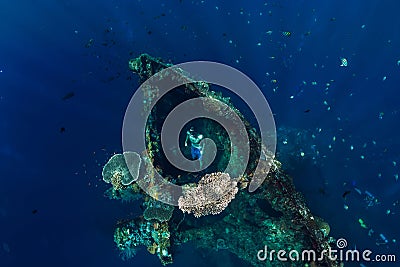 Freediver swim at USS Liberty Wreck, Bali Stock Photo