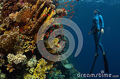 Freediver Stock Photo