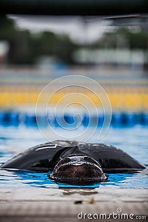 Freediving Performer doing Static Apnea Editorial Stock Photo