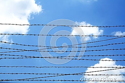 Freedom Stock Photo