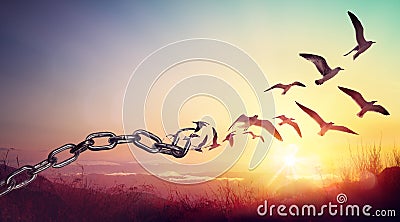 Freedom - Chains That Transform Into Birds Stock Photo