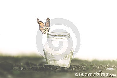 Freedom concept of a colorful butterfly rests on her trap Stock Photo