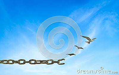 International migrants day concept Stock Photo