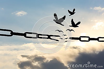 Freedom concept. Silhouettes of broken chain and birds flying in sky Stock Photo