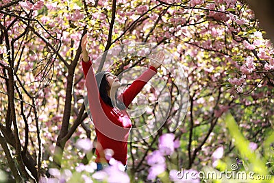 Freedom happy woman feeling alive and free in nature breathing clean and fresh air Stock Photo