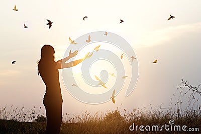 Freedom of life, free bird and woman enjoying nature on sunset Stock Photo