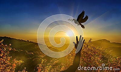 Freedom, peace and spirituality dove, pigeon with olive branch Stock Photo