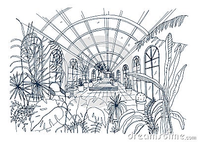 Freehand drawing of interior of greenhouse full of tropical plants. Monochrome sketch of glasshouse with exotic trees Vector Illustration