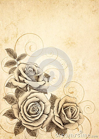 Freehand drawing rose 03 Stock Photo