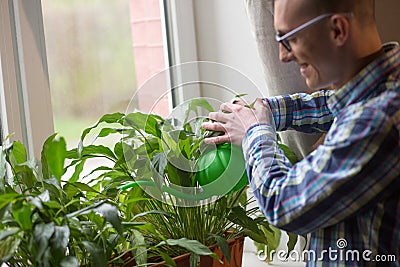 Freelancer taking care of home plants at working space at home. Man watering flowers from plastic watering can standing Stock Photo