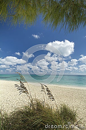 Freeport beach, Grand Bahama Island Stock Photo