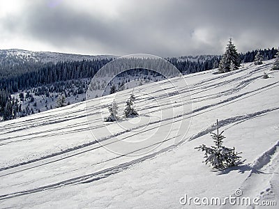 Freeride ski tracks in the snow Stock Photo