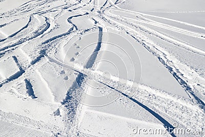 Freeride tracks on powder snow Stock Photo