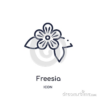 Freesia icon from nature outline collection. Thin line freesia icon isolated on white background Vector Illustration