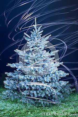 Freeze christmas tree Stock Photo